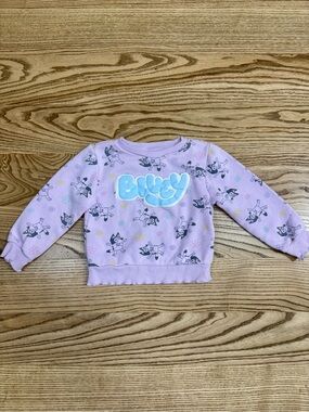 Bluey Graphic Sweatshirt for Kids